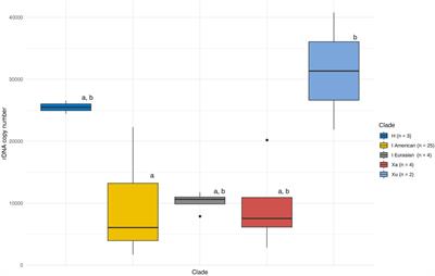 Horizontally Acquired nrDNAs Persist in Low Amounts in Host Hordeum Genomes and Evolve Independently of Native nrDNA